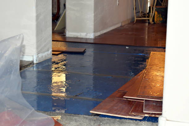 Professional Burst Pipe Cleanup technician working in Corinth, TX